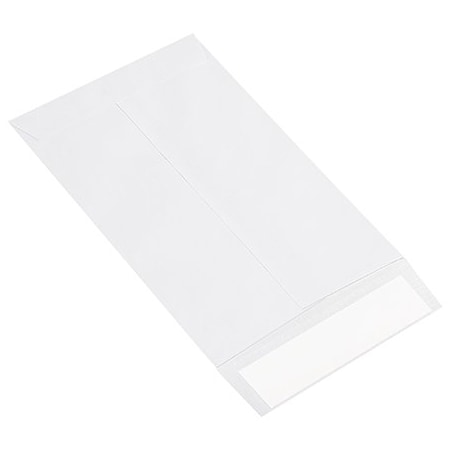 Bsc Preferred 6 x 9'' Flat Ship-Lite Envelopes, 100PK SLF0609WH